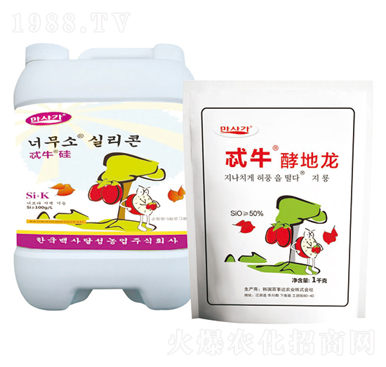 ߯ţ�͵���-�A��