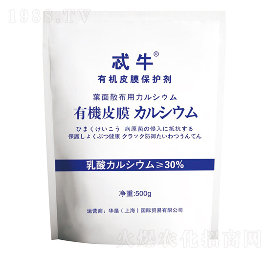 �ЙC(j��)ƤĤ���o(h��)��-߯ţ-�A��