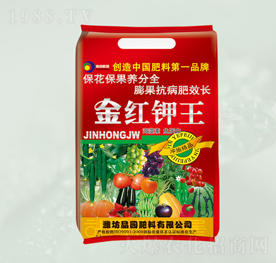 �������~(y��)����-��t���-���@����