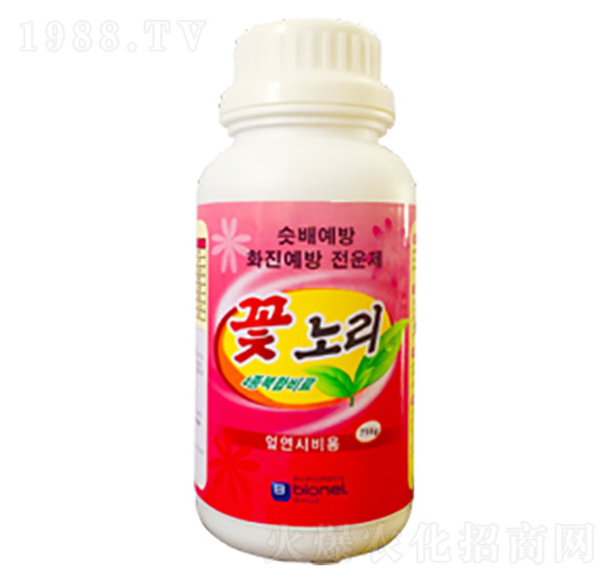 ������-��(y��u)��˼