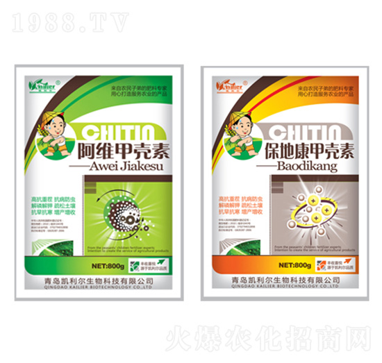 ���ؿ��ך���-�P����