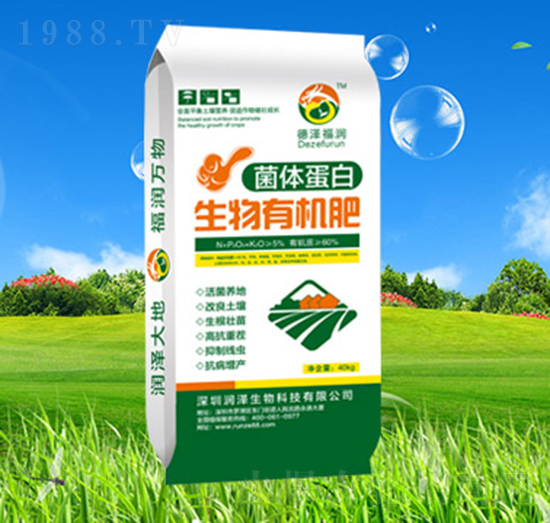 ���w���������ЙC(j��)��-��������