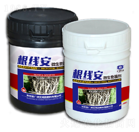 ΢���������ƿ��-������-�V�ɰ�����