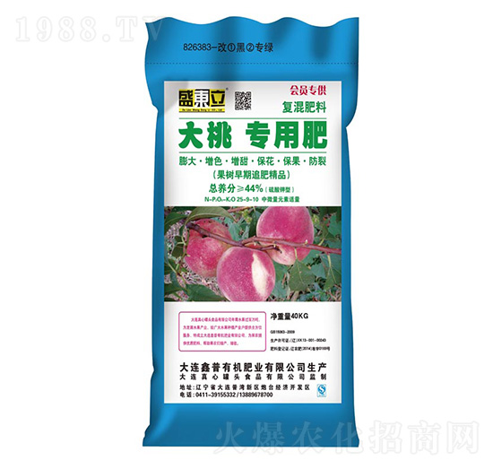 ���Ҍ��÷�25-9-10-ʢ�|��-����