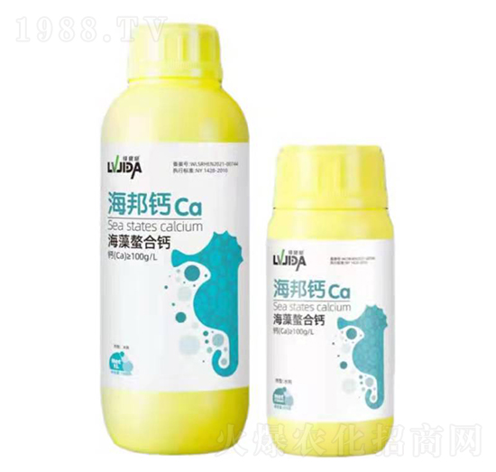 ���������}-�����}-������