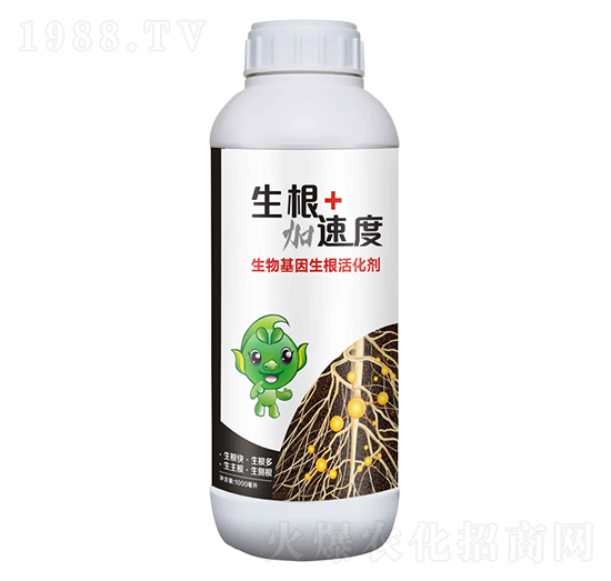 ��������������-�������ٶ�-������