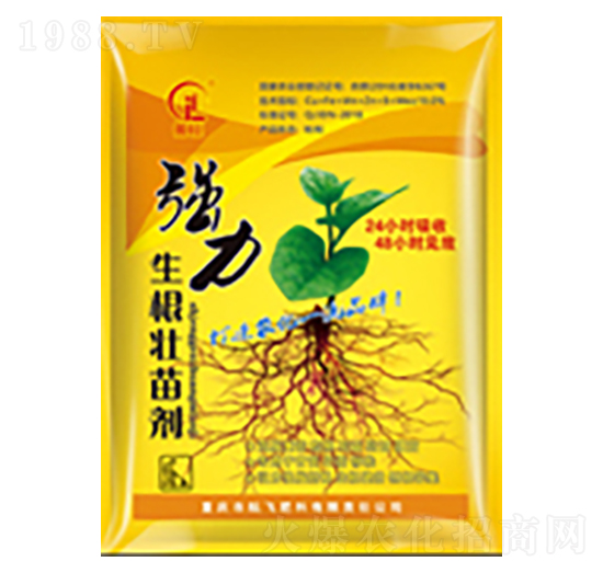 �����������焩-���л���