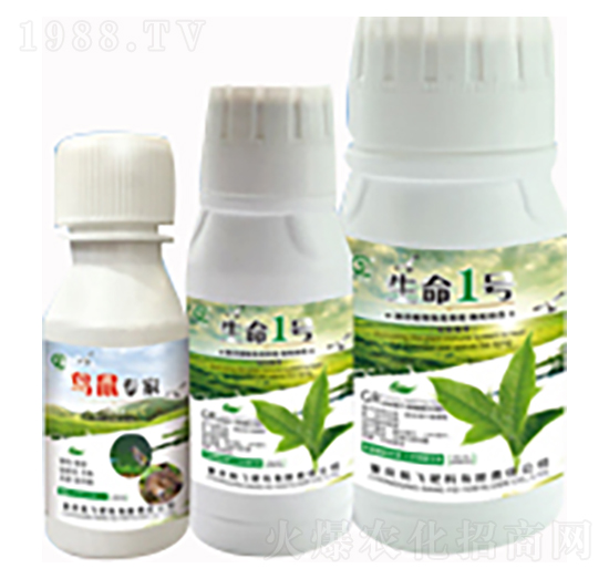 ����һ̖(h��o)-�B(ni��o)��(zhu��n)��-���л���