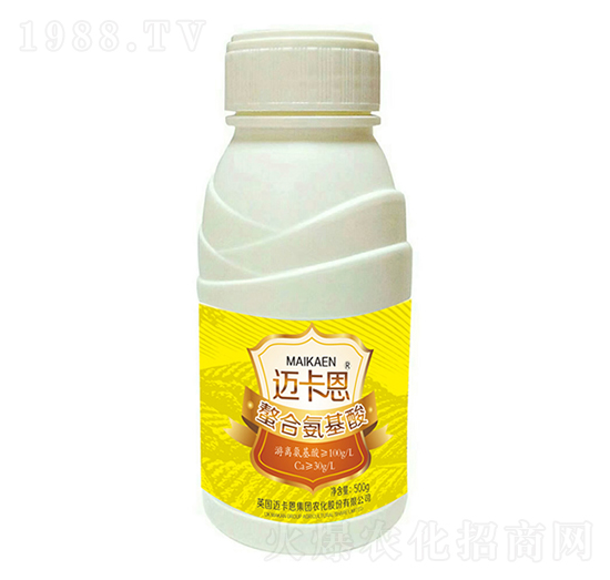 ���ϰ�����-�~����-��������