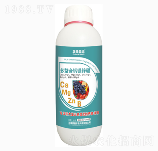 �������Ǵ��}�V�\��-�Aԥ����