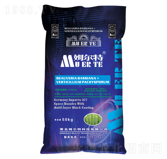 ��ʮ��С���������طN��-ķ����-���ݳ���