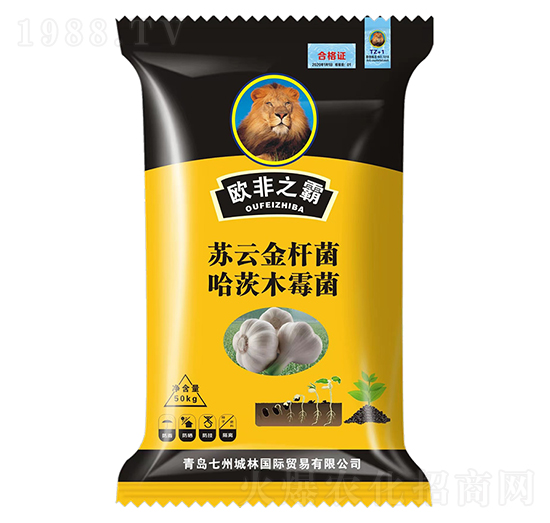 ������طN��-�W��֮��-���ݳ���