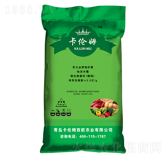 �����طN��-����ķ-���ݳ���