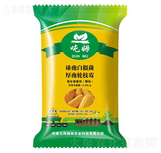 �����طN��-��ķ-���ݳ���