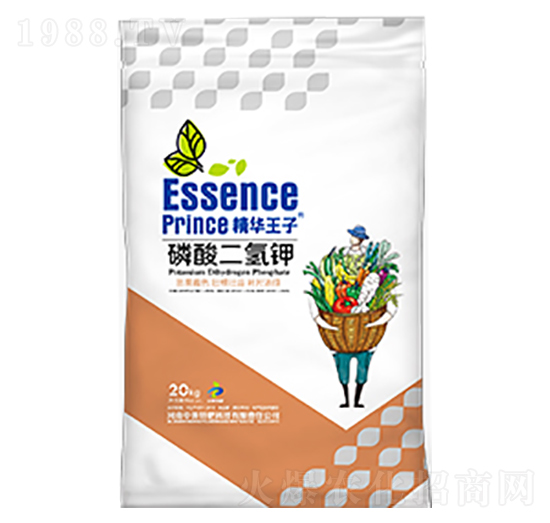 ��������-���A����-���S�ط�