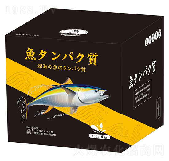 С�����~���ף��ڣ�-������