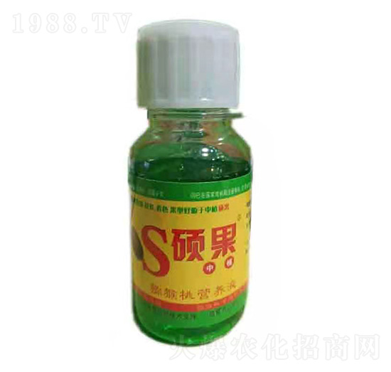 S�T��-ɭ��ع�