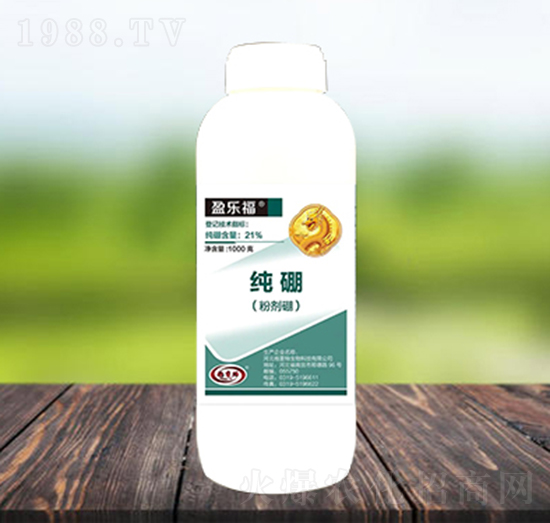 �ۄ���-ӯ��(l��)��-������