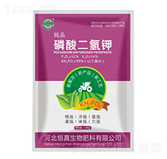 ��ɫ���b��������-��������