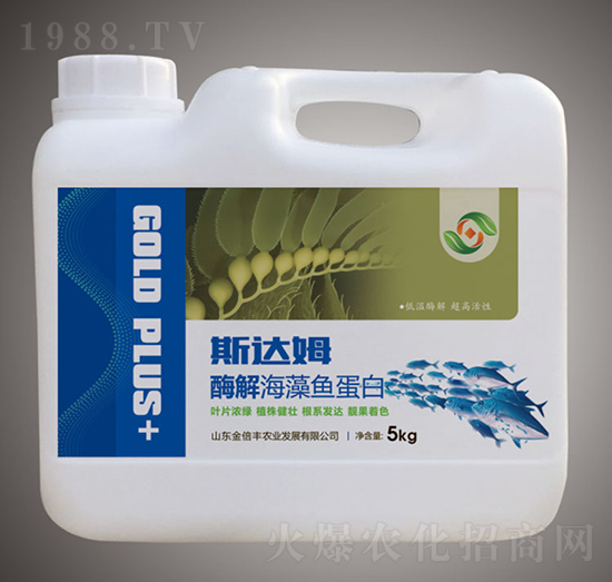 ø�⺣���~����-˹�_(d��)ķ-���S