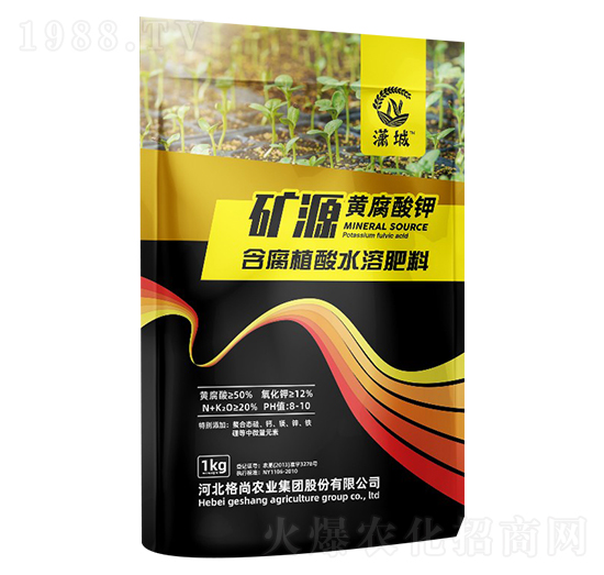 �VԴ�S�����-�t��-���Ѓ�(y��u)�x