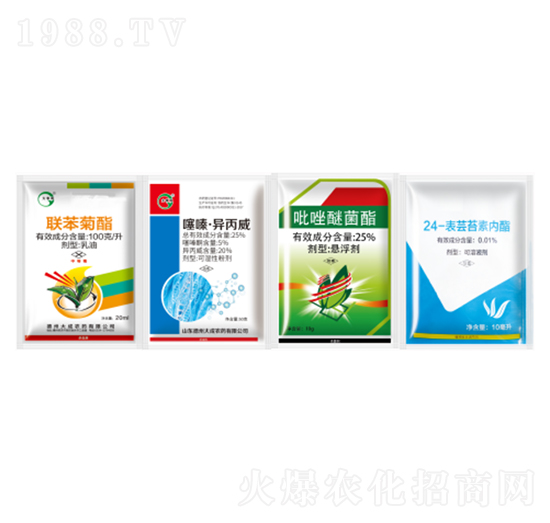 ȫ�Ø��ײ�-��ɂ��I(y��)