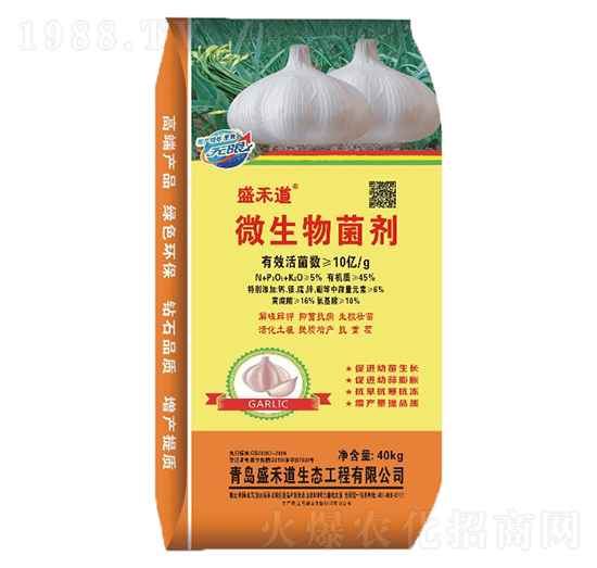 10�|΢�������-ʢ�̵�