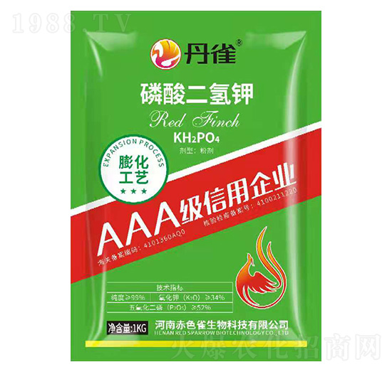 ��������-��ȸ