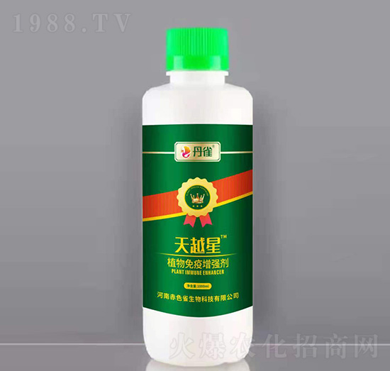 ֲ������������-��Խ��-��ȸ