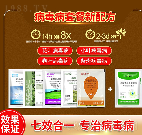 �������ײ�-Ξ���x