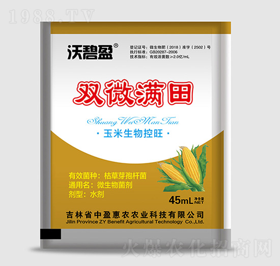 �p΢�M�������������-�ֱ�ӯ-��ӯ���r