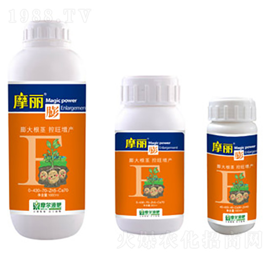 Ħ����-ħ��Һ��