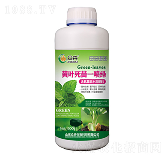 �S�~����һ���G-��������