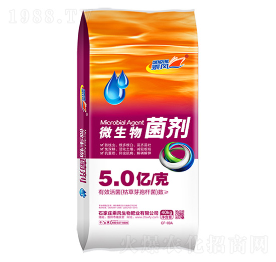 5�|���΢�������-���L����