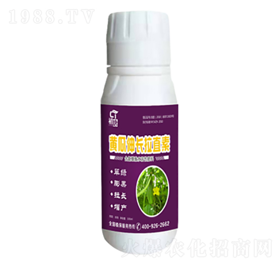 �S�����L(zh��ng)��ֱ��-����-�֮��