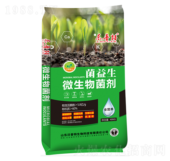 ������΢�������-������-������