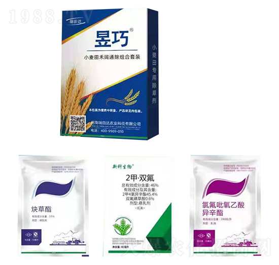 ����С������ͨ���M���ײ�-�����_