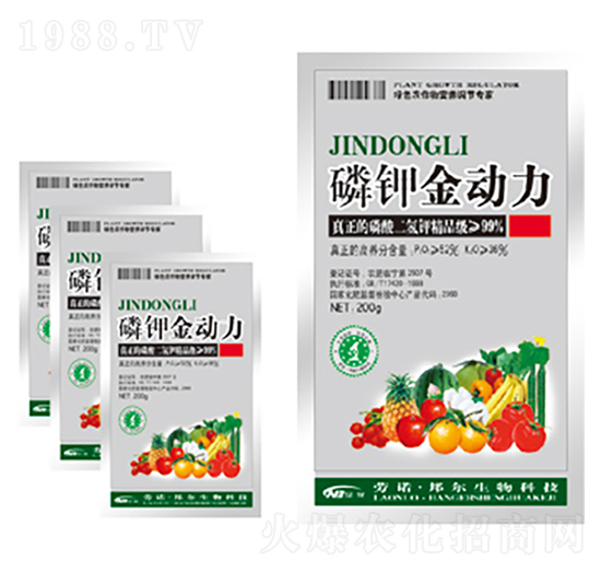 ��⛽�����-������