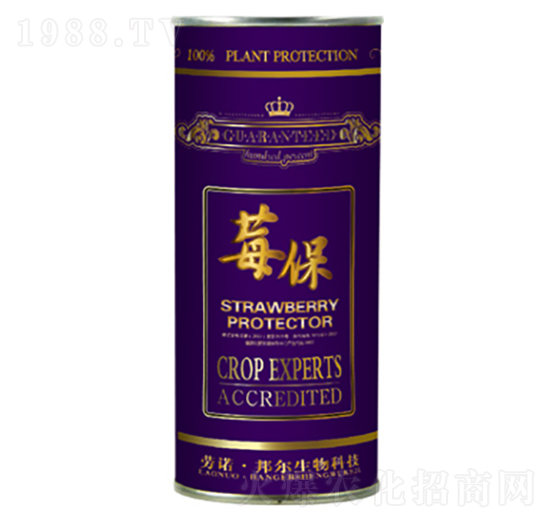 ݮ��-������