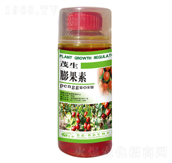 �����-������