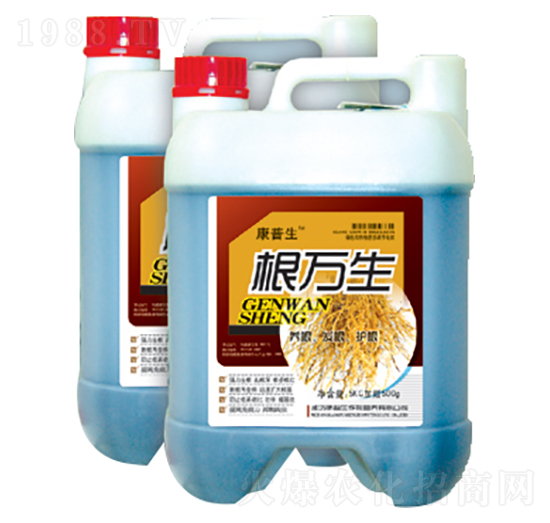 ���f��-������