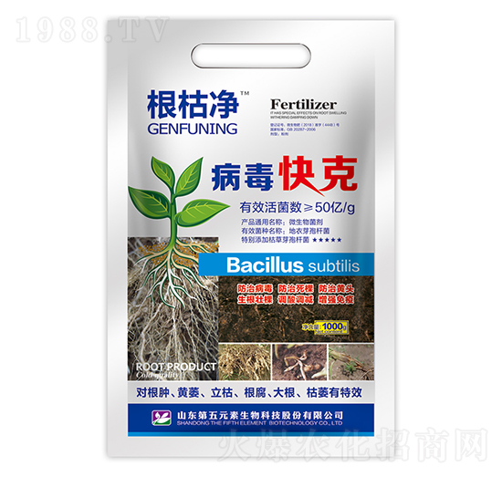 �������-���݃�-����Ԫ��