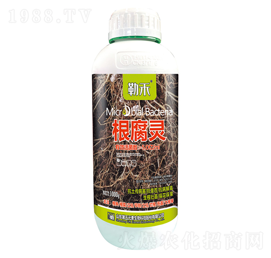 �����`-�պ�-����Ԫ��