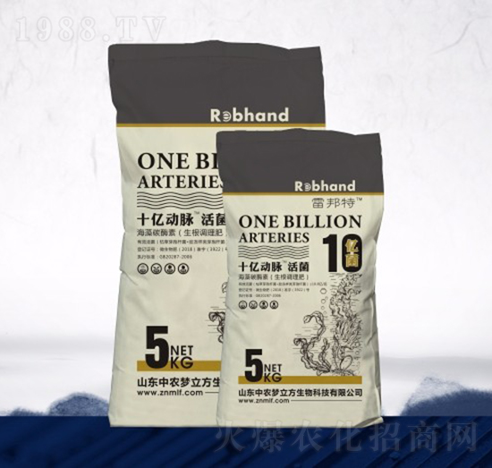 ʮһ��(d��ng)�}���-���r(n��ng)��(m��ng)