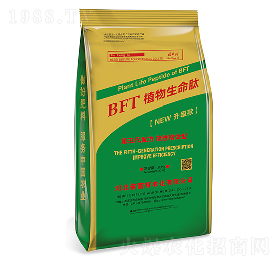 BFTֲ��������-���S��-������