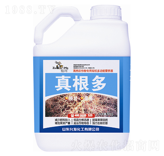 �����-�欔-�ʰl(f��)����