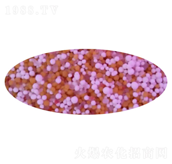 С������׷�-ʢ���Ƴ�