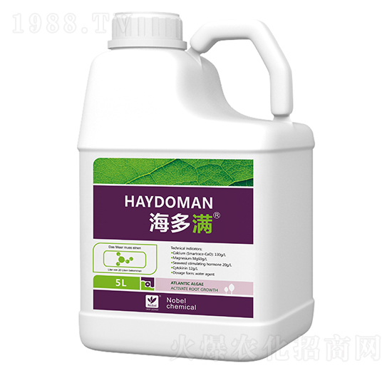 5L�����M�}�V�̼���-������