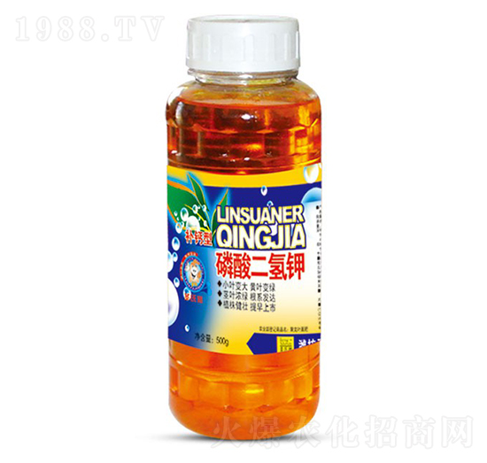 500g��������-ʥ�ϝ�