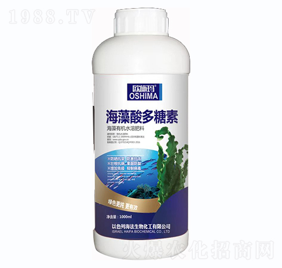 �����������-һ������